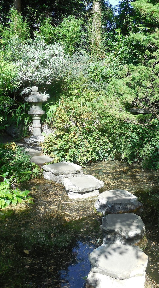 Focusing Anleitung spielerisch