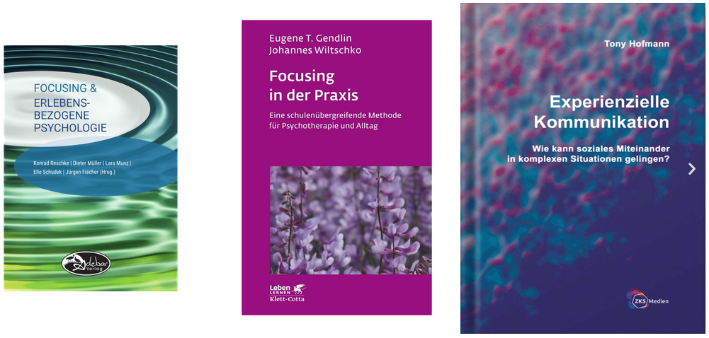 Focusing Literatur