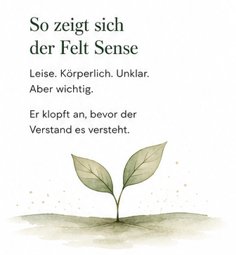 So zeigt sich der Felt Sense
